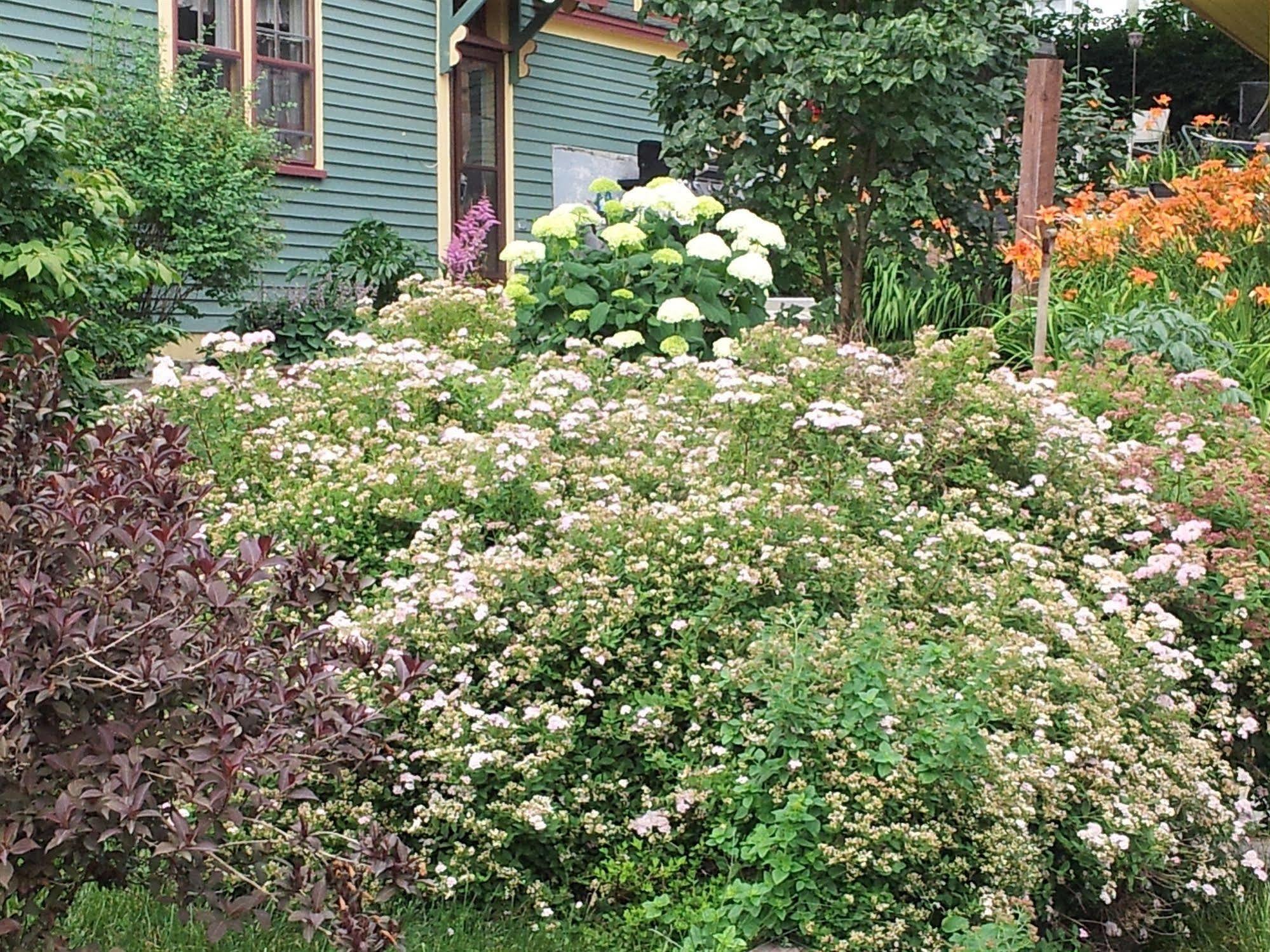 The Spaniards Room Heritage Home Spaniards Bay Exterior photo